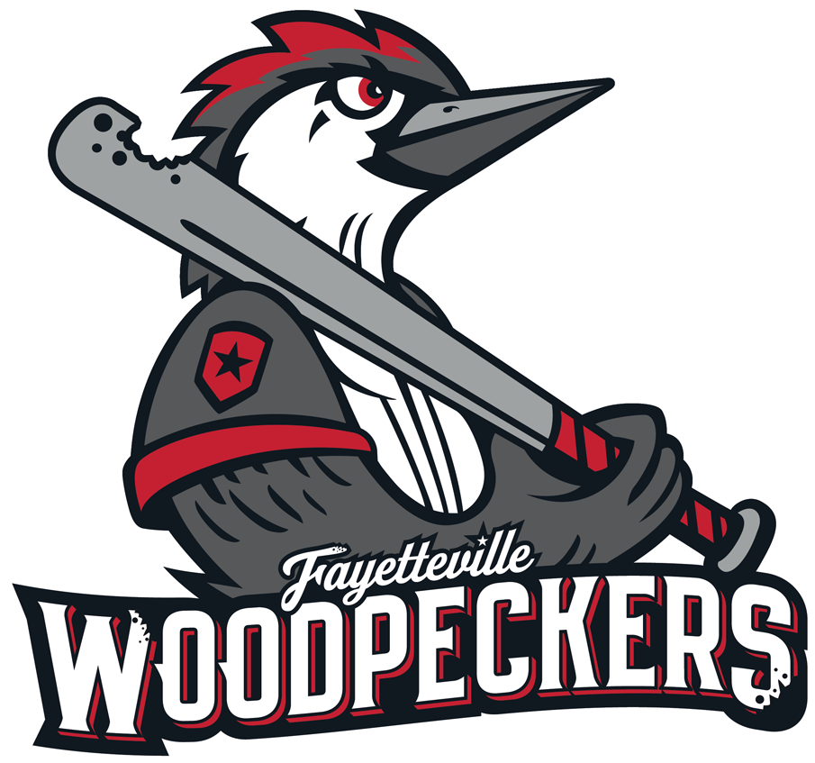 Fayetteville Woodpeckers iron ons